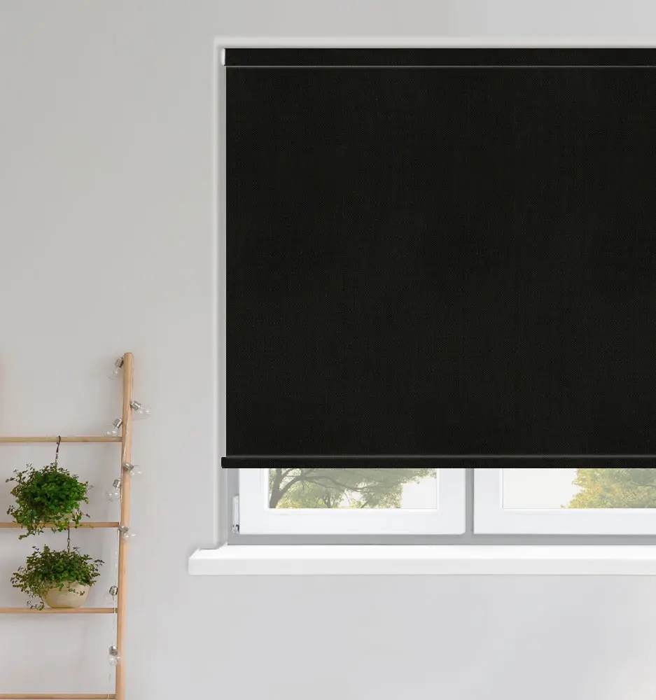 ROLL_ASPECT_1_PERCENT_LICORICE