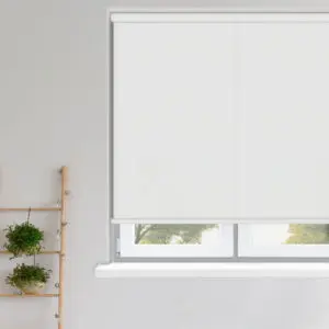 Roller Blinds - Carnival China White