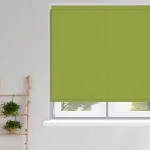 Roller Blinds - Carnival Kiwi