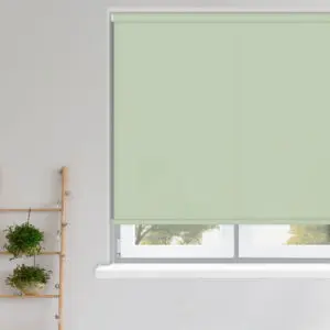 Roller Blinds - Carnival Lily