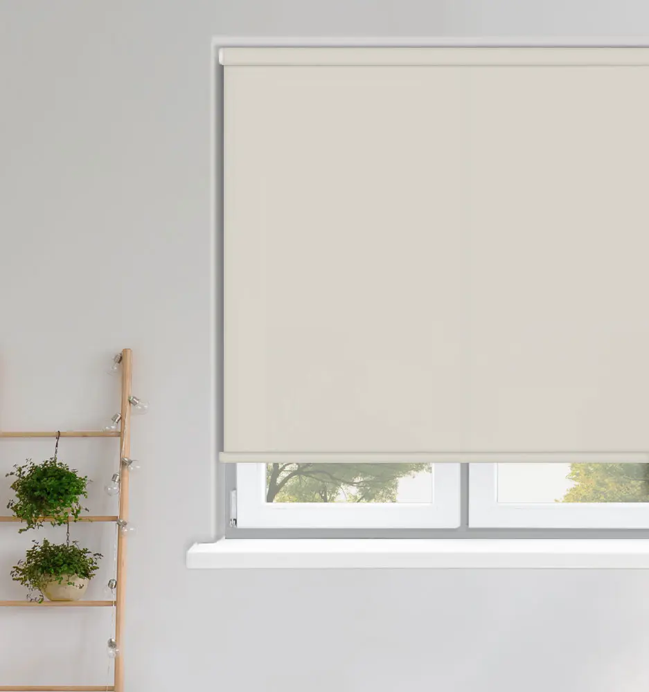 ROLL_CARNIVAL_PAPAYA